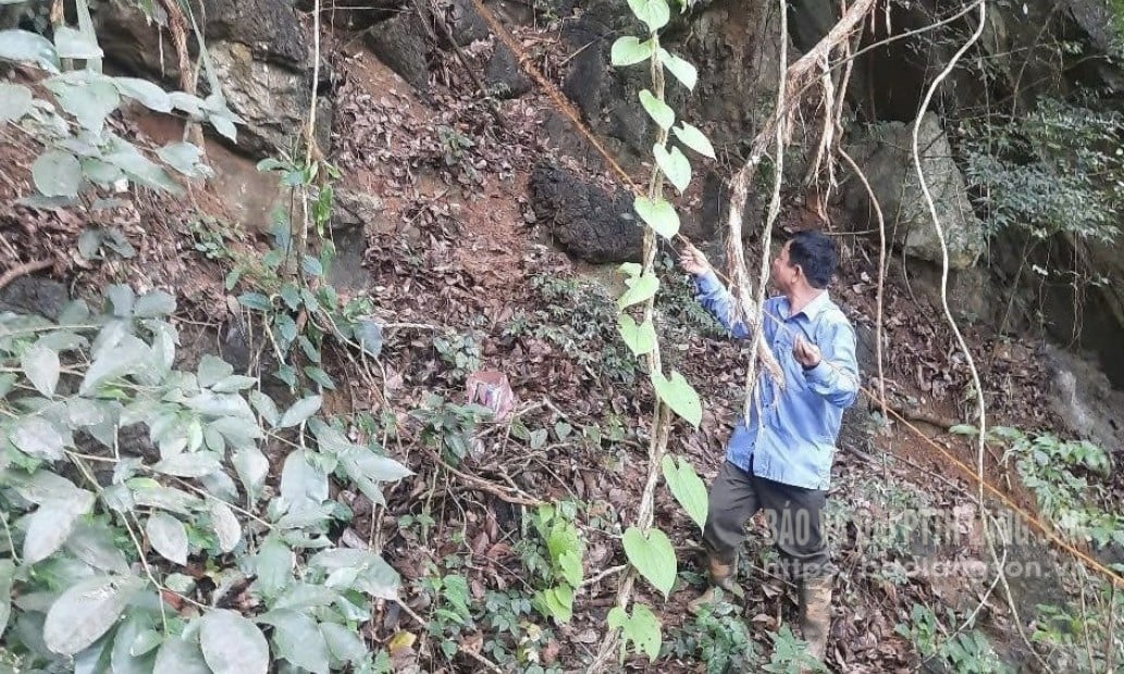 Đội ngũ điều tra rừng khu vực Chi Lăng tiến hành điều tra ô tiêu chuẩn tại xã Vạn Linh