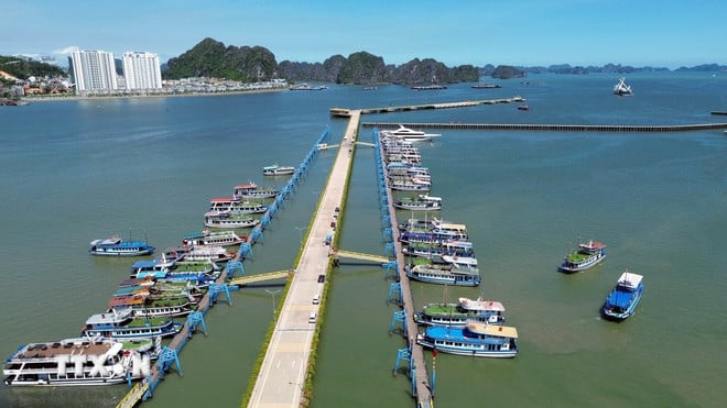 ttxvn-tau-du-lich-ha-long-2.jpg