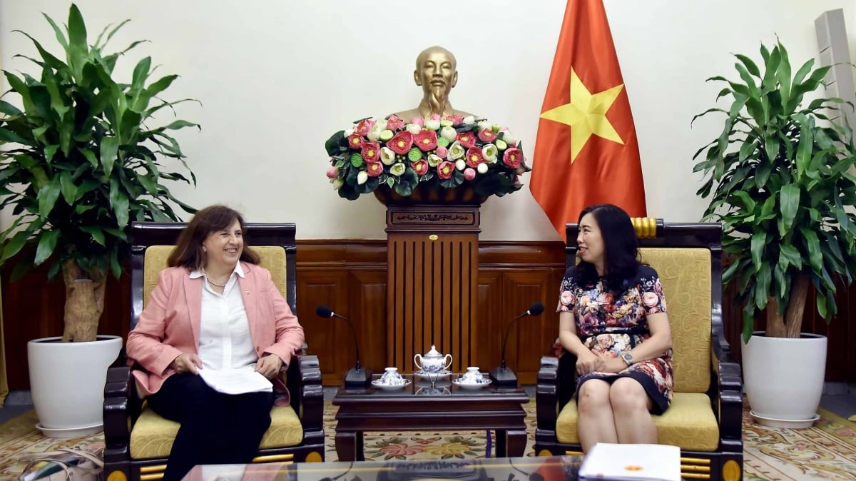 Deputy Minister Le Thi Thu Hang received Deputy Director General of the European External Action Service