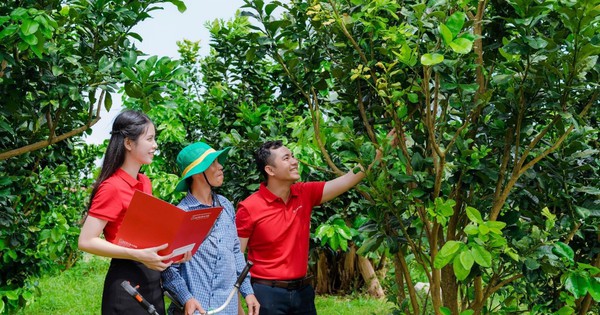 Agribank ưu đãi lớn, hỗ trợ chuyển đổi hộ kinh doanh thành doanh nghiệp