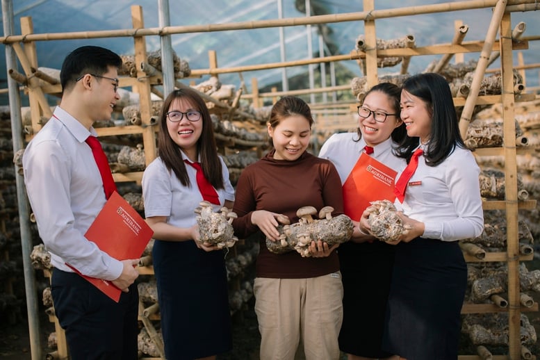 Agribank ưu đãi lớn, hỗ trợ chuyển đổi hộ kinh doanh thành doanh nghiệp- Ảnh 2.