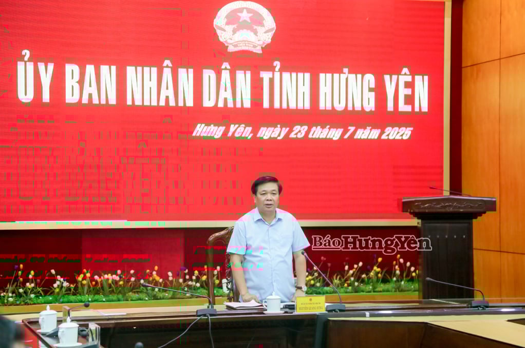 Đồng chí Nguyễn Quang Hưng, Ủy viên Ban Thường vụ Tỉnh ủy, Phó Chủ tịch Thường trực UBND tỉnh phát biểu tại cuộc họp.