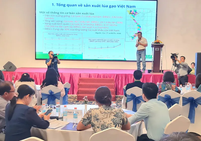 ចែករំលែកបទពិសោធន៍ក្នុងការអនុវត្ត "គំរូផលិតកម្មស្រូវគុណភាពខ្ពស់ ដើម្បីកាត់បន្ថយការបំភាយឧស្ម័ន ដើម្បីបម្រើដល់គម្រោងអភិវឌ្ឍន៍ប្រកបដោយនិរន្តរភាពនៃផ្ទៃដីមួយលានហិកតានៅក្នុងតំបន់ដីសណ្ដទន្លេមេគង្គ"