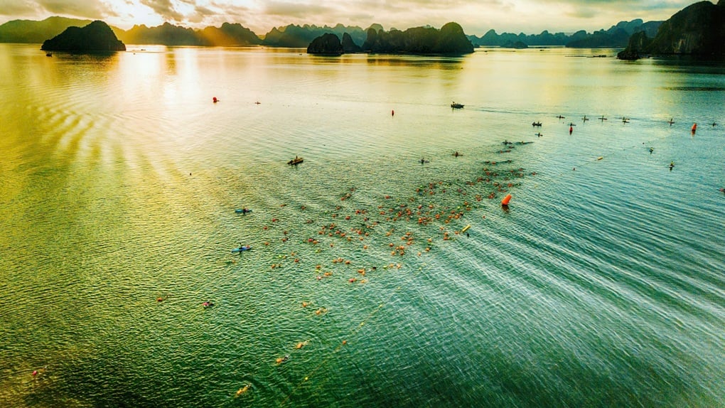 Aqua Warriors Vân Đồn 2025: Hơn 1.500 vận động viên đăng ký vé siêu sớm Super Early Bird - 1
