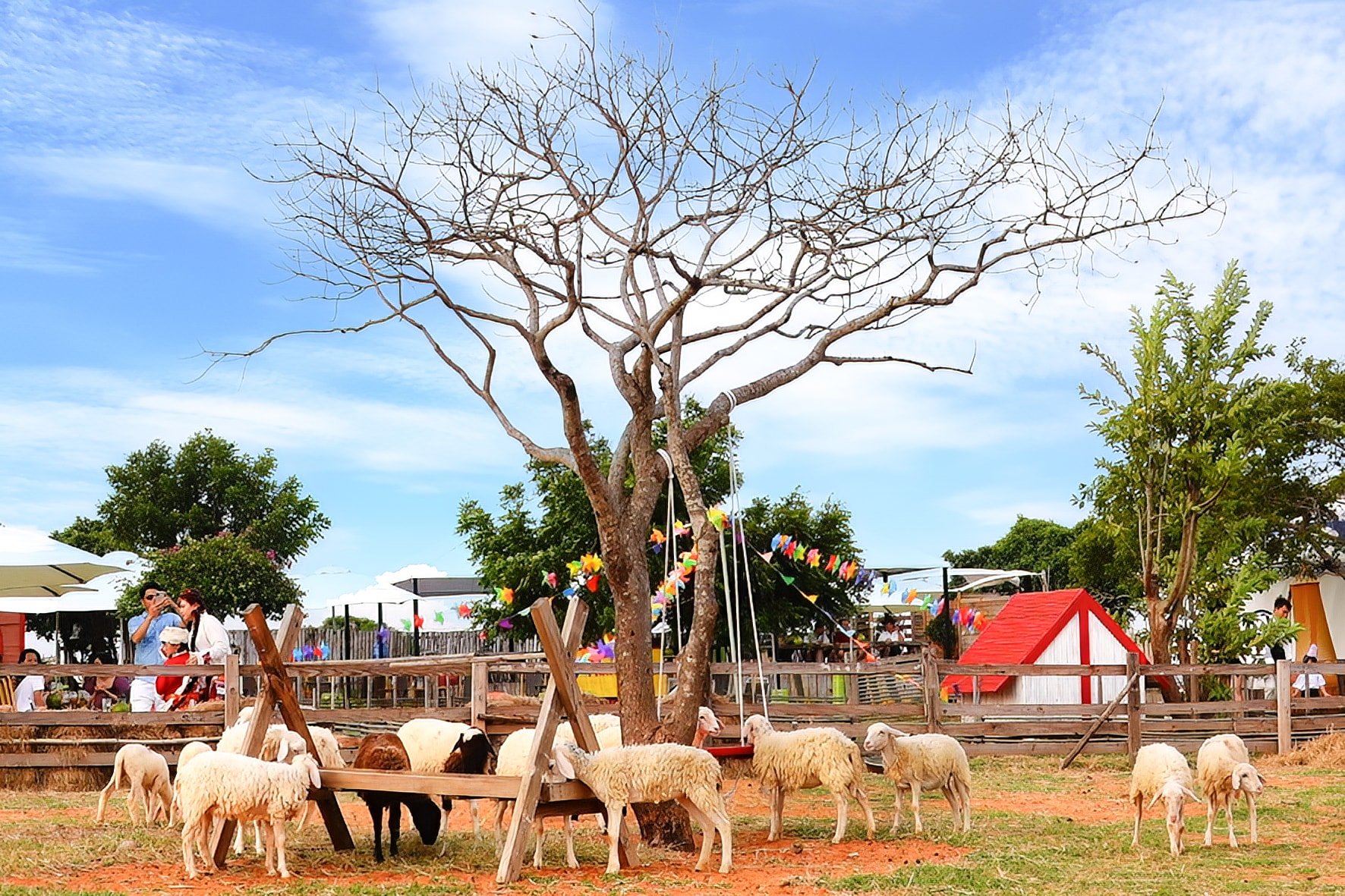 Picnic in Hoa Thang, Lam Dong (រូបថតដោយ N. Lan) (2)