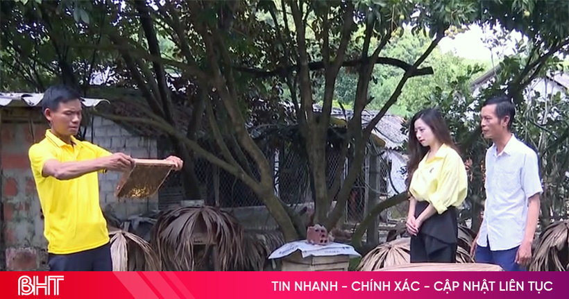 Mật ong Vũ Quang - nếm một lần là nhớ mãi