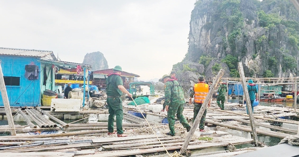 Quang Ninh urgently responds to storm Wipha, calls on ships to take shelter