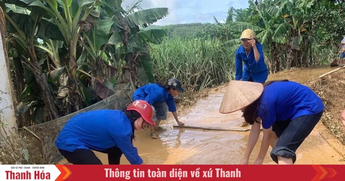 100% đoàn viên thanh niên xã, phường ra quân dọn dẹp vệ sinh sau bão
