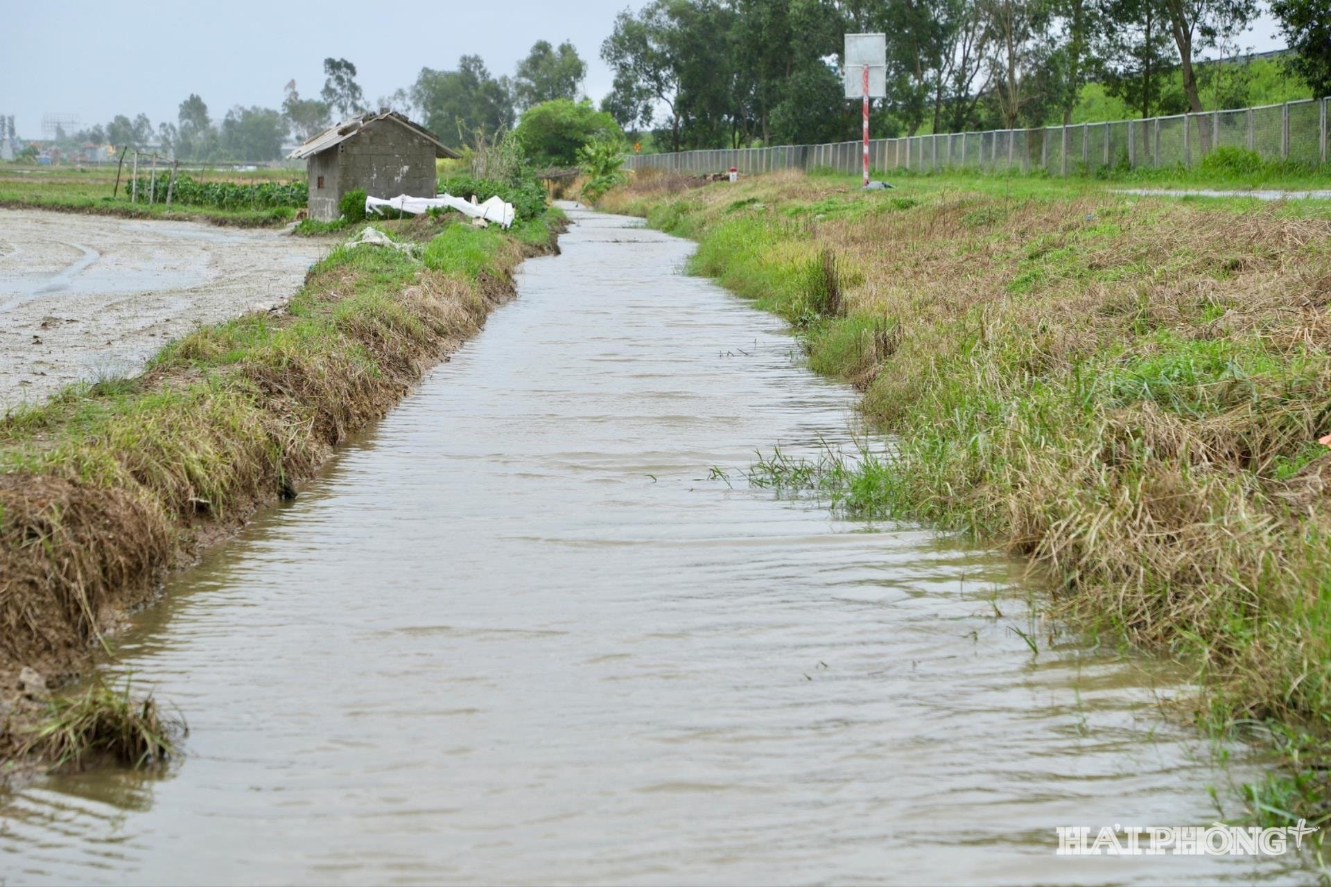 Kanal(1).jpg
