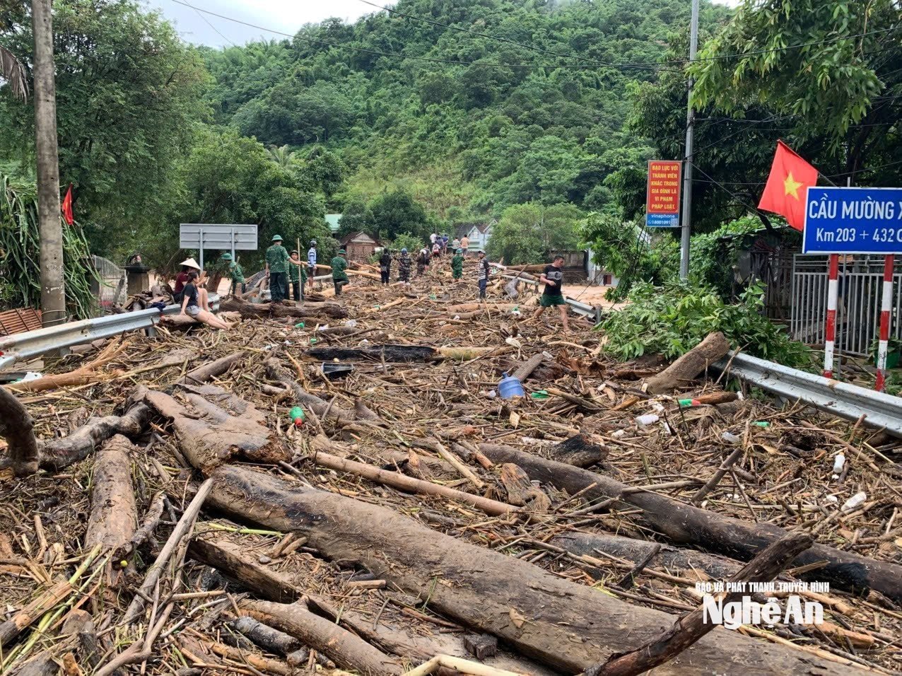 cầu MX