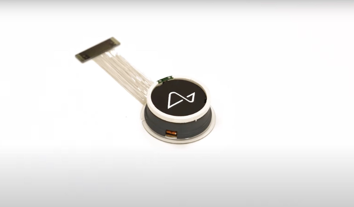 Neuralink - Ảnh 1.