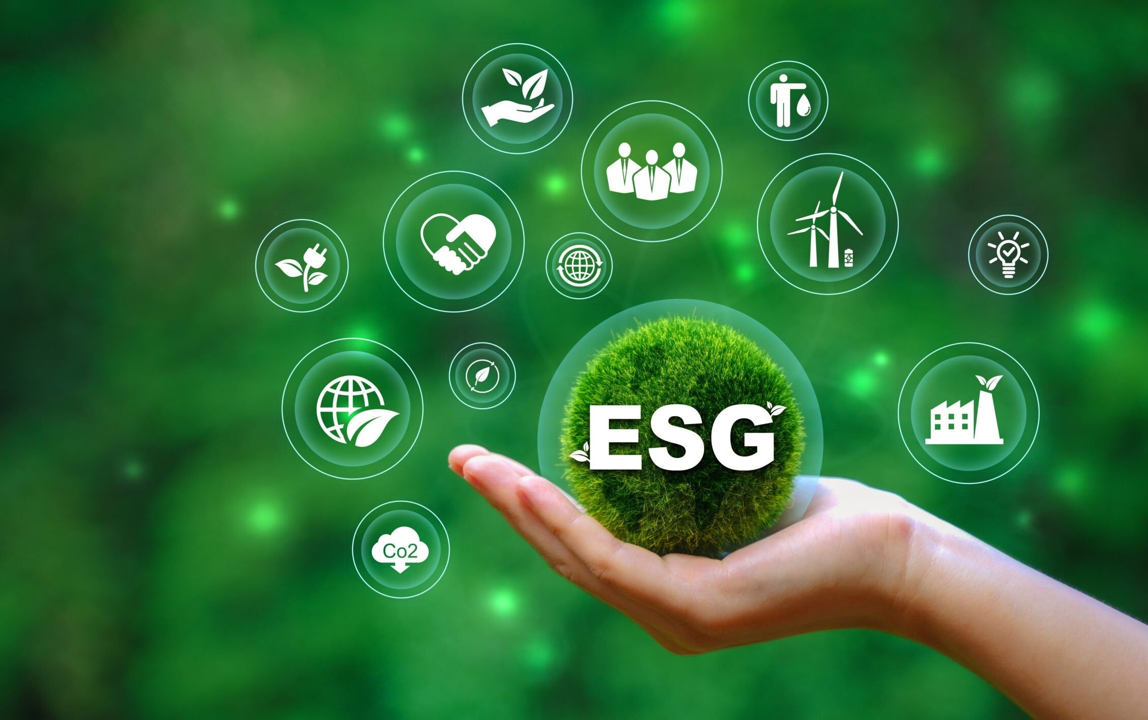 Diễn đàn ESG Việt Nam 2025: Nâng tầm bền vững bằng sức mạnh công nghệ - 1