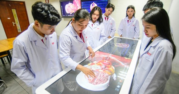 Trường ĐH Quốc tế Hồng Bàng công bố điểm sàn nhóm ngành sức khỏe 