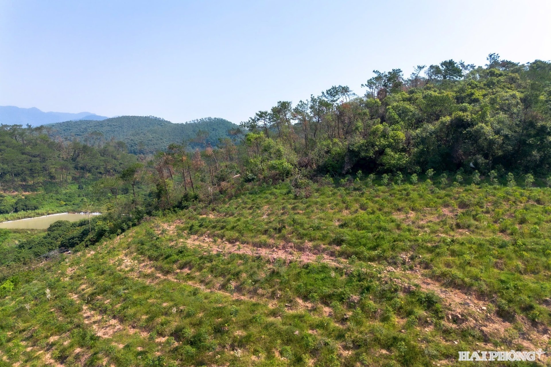 Eine Ecke des Waldes in der Stadt Chi Linh wird derzeit von der Forstschutzbehörde der Region 4 unter der Aufsicht der Forstschutzbehörde Hai Phong verwaltet und geschützt.