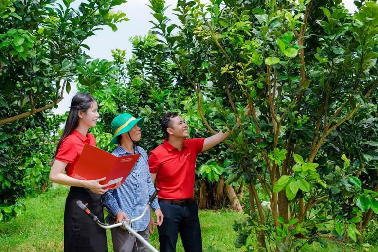 Agribank ưu đãi lớn, hỗ trợ chuyển đổi hộ kinh doanh thành doanh nghiệp- Ảnh 1.