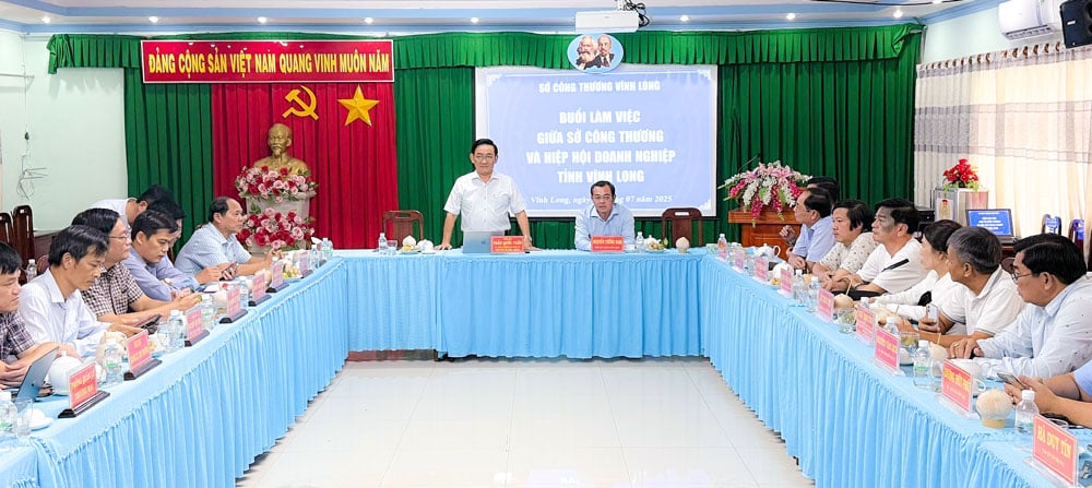 លោក Tran Quoc Tuan - សមាជិកគណៈកម្មាធិការអចិន្ត្រៃយ៍បក្សខេត្ត - ប្រធានមន្ទីរឧស្សាហកម្ម និងពាណិជ្ជកម្ម ថ្លែងមតិក្នុងកិច្ចប្រជុំ។