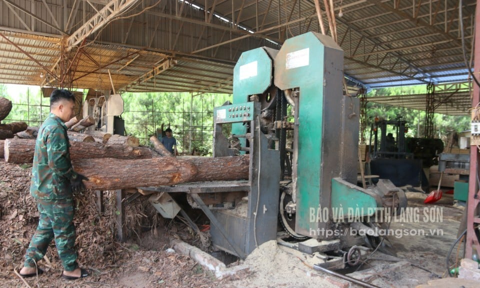 Công nhân Công ty TNHH MTV Hiếu Thủy vận hành thiết bị chế biến lâm sản  từ nguồn vốn vay ưu đãi của Agribank Chi nhánh Đình Lập Lạng Sơn