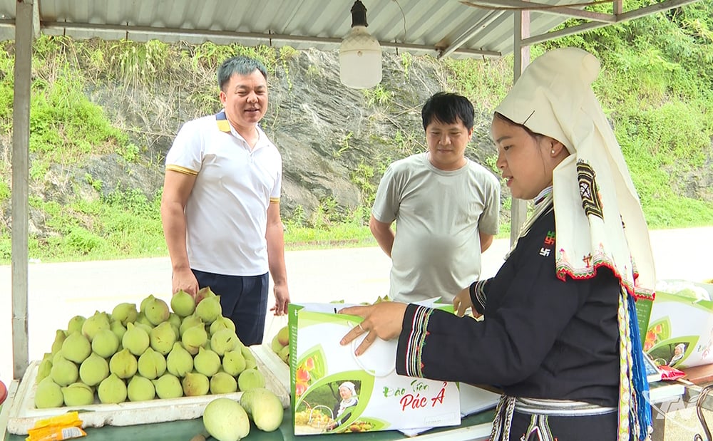 Du khách dừng chân mua đào tiên của bà con nhân dân xã Ngân Sơn.