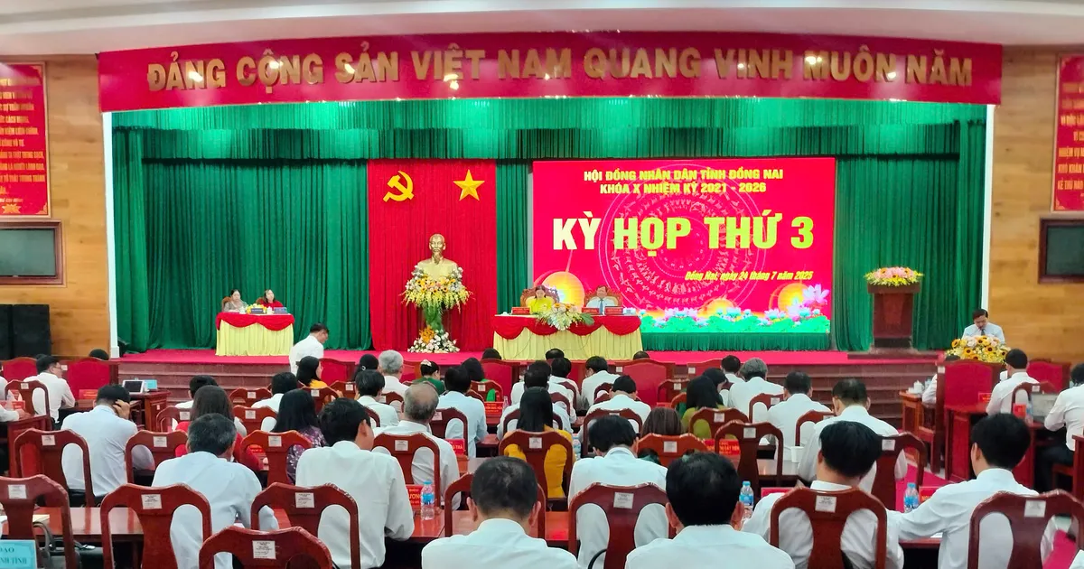 ក្រោយ​ការ​ច្របាច់​បញ្ចូល​គ្នា​រួច ខេត្ត Dong Nai មាន​ទំហំ​សេដ្ឋកិច្ច​ធំ​ជាង​គេ​ទី​៤​ក្នុង​ប្រទេស។