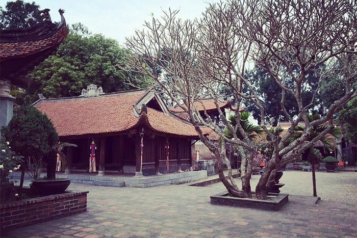 វត្ត Vinh Nghiem - សាកលវិទ្យាល័យព្រះពុទ្ធសាសនាដំបូងគេ