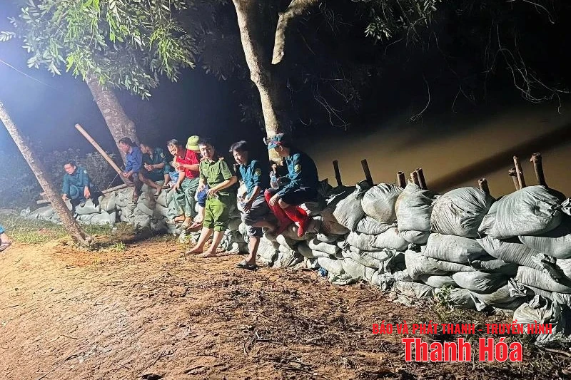 Xử lý kịp thời nguy cơ vỡ đê tại xã Triệu Sơn