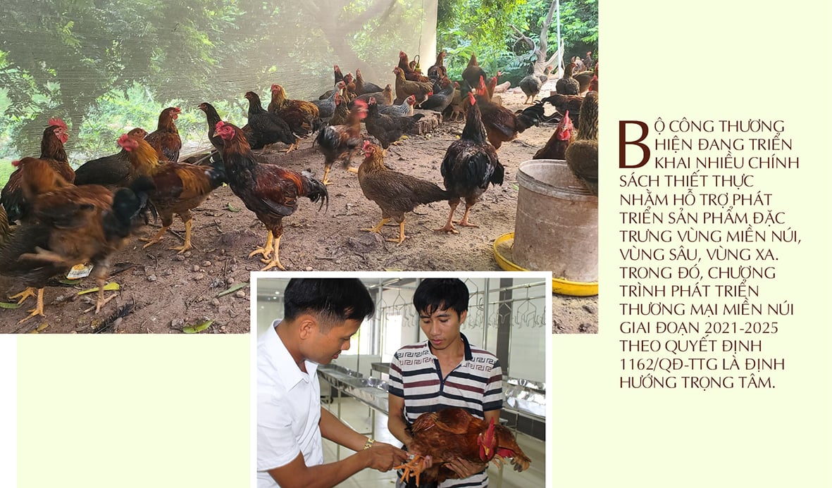 Longform | Gà đồi Yên Thế: Niềm tự hào của miền bán sơn địa  - 6