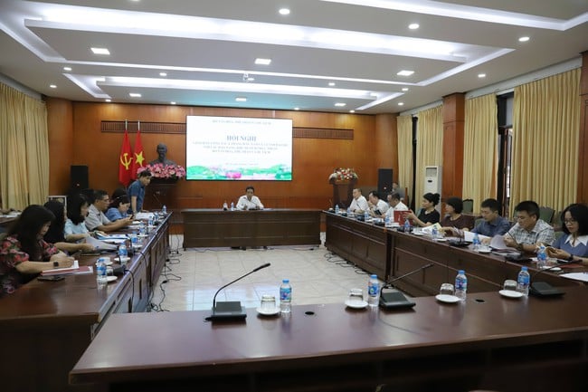 Thứ trưởng Hoàng Đạo Cương làm việc với các Bảo tàng, khu di tích thuộc Bộ - Ảnh 3.