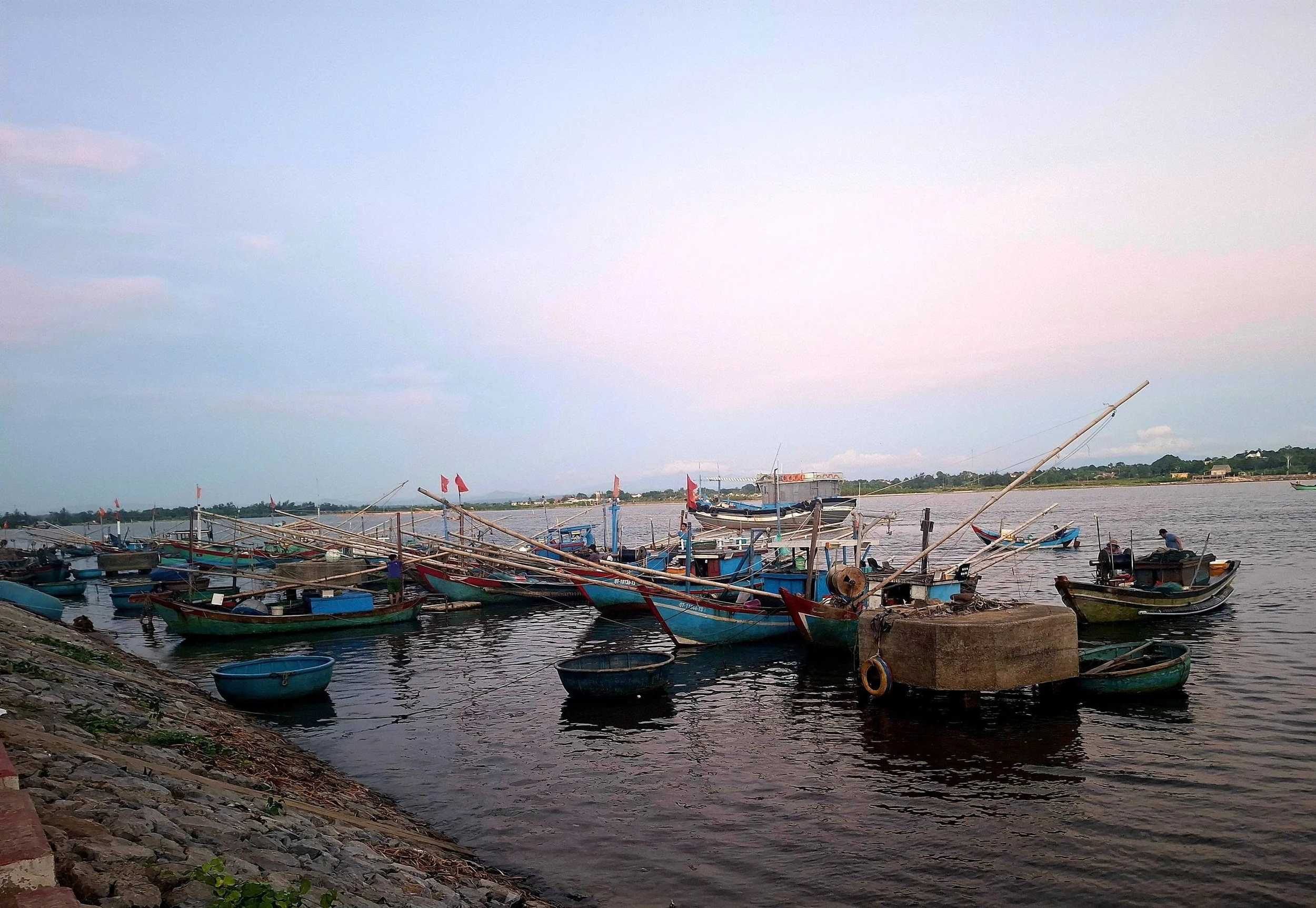 Ra biển câu mực nhảy, mực nháy