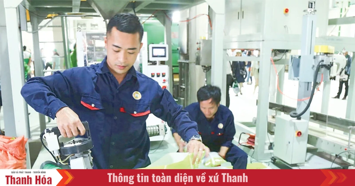 ផលវិបាកនៃការប្រើប្រាស់ពូជស្រូវនៅខាងក្រៅរចនាសម្ព័ន្ធ