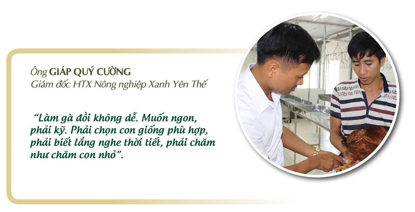 Longform | Gà đồi Yên Thế: Niềm tự hào của miền bán sơn địa  - 3