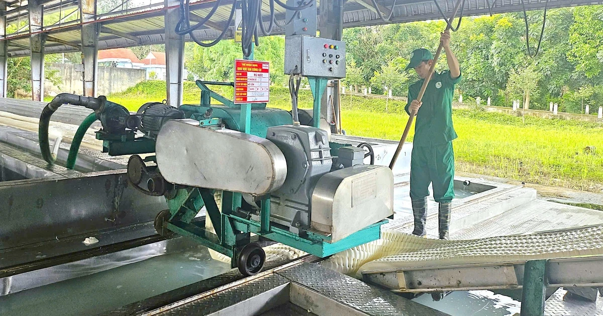Ngày 24-7, giá cao su thế giới tăng mạnh, trong nước biến động nhẹ