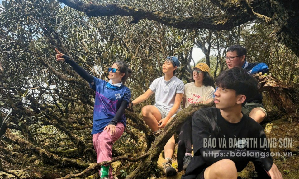 Du khách trải nghiệm tại Con đường mòn địa chất "Thì thầm Hoa Đỗ Quyên - Đỉnh Phja Mè" - Công viên địa chất toàn cầu UNESCO Lạng Sơn 