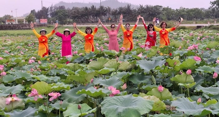 Người biến đất hoang thành đầm sen, thu tiền triệu mỗi ngày- Ảnh 2.