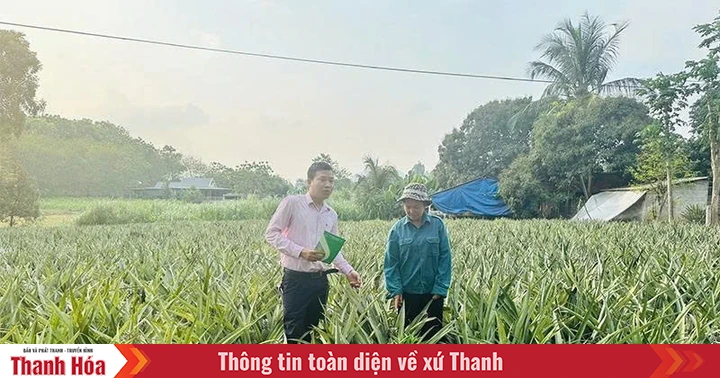 Đầu tư nguồn vốn tín dụng phát triển kinh tế