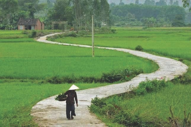 Nguồn: Internet