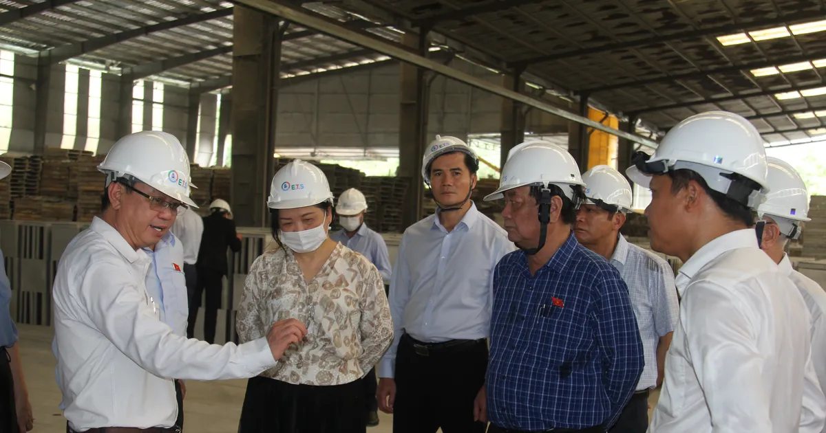 Phó Chủ tịch Quốc hội Lê Minh Hoan kiểm tra thực hiện chính sách bảo vệ môi trường tại Bình Dương (trước đây)