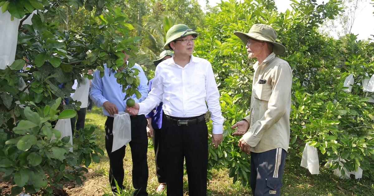 Changing the purpose of using 4.62 hectares of forest to build an agricultural and forestry product processing factory