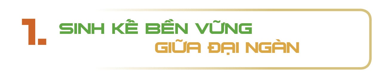 Longform | Gà đồi Yên Thế: Niềm tự hào của miền bán sơn địa  - 1
