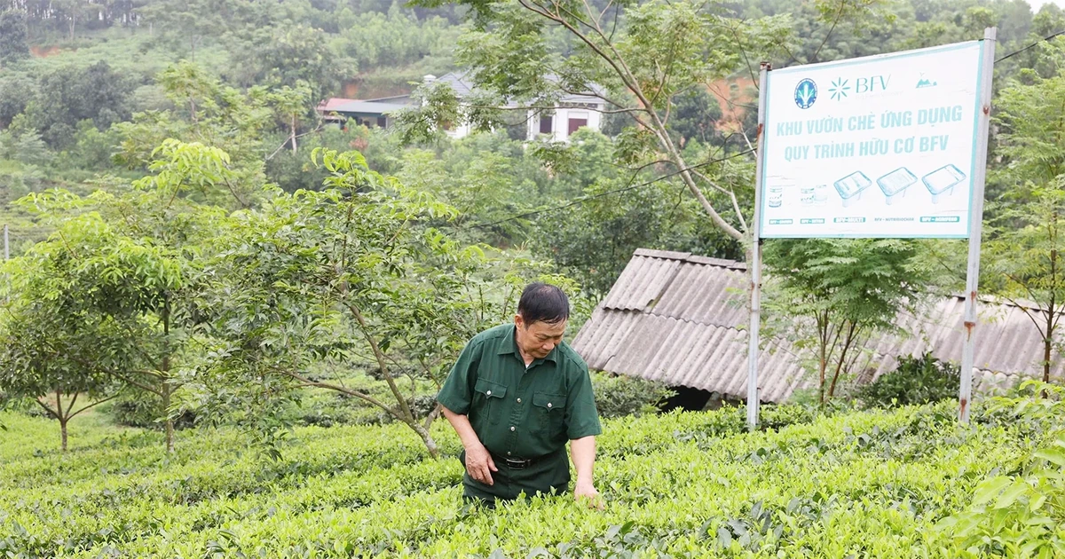 Một thời chinh chiến, một đời dựng xây