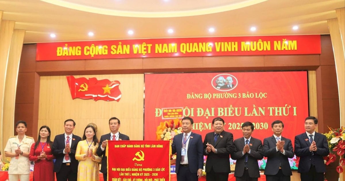 ការរំពឹងទុកសម្រាប់ការអភិវឌ្ឍន៍ដ៏ទូលំទូលាយនៃសង្កាត់ 3 Bao Loc