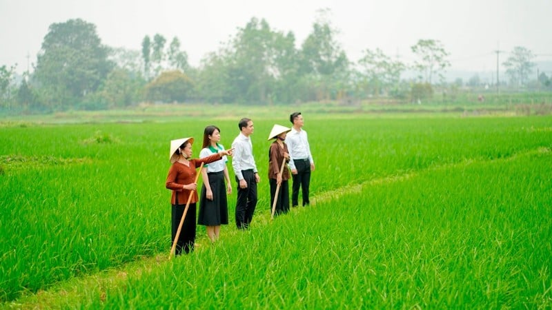 ការធានារ៉ាប់រងជួយកាត់បន្ថយបន្ទុកហិរញ្ញវត្ថុទាំងបុគ្គល និងថវិកាជាតិ។