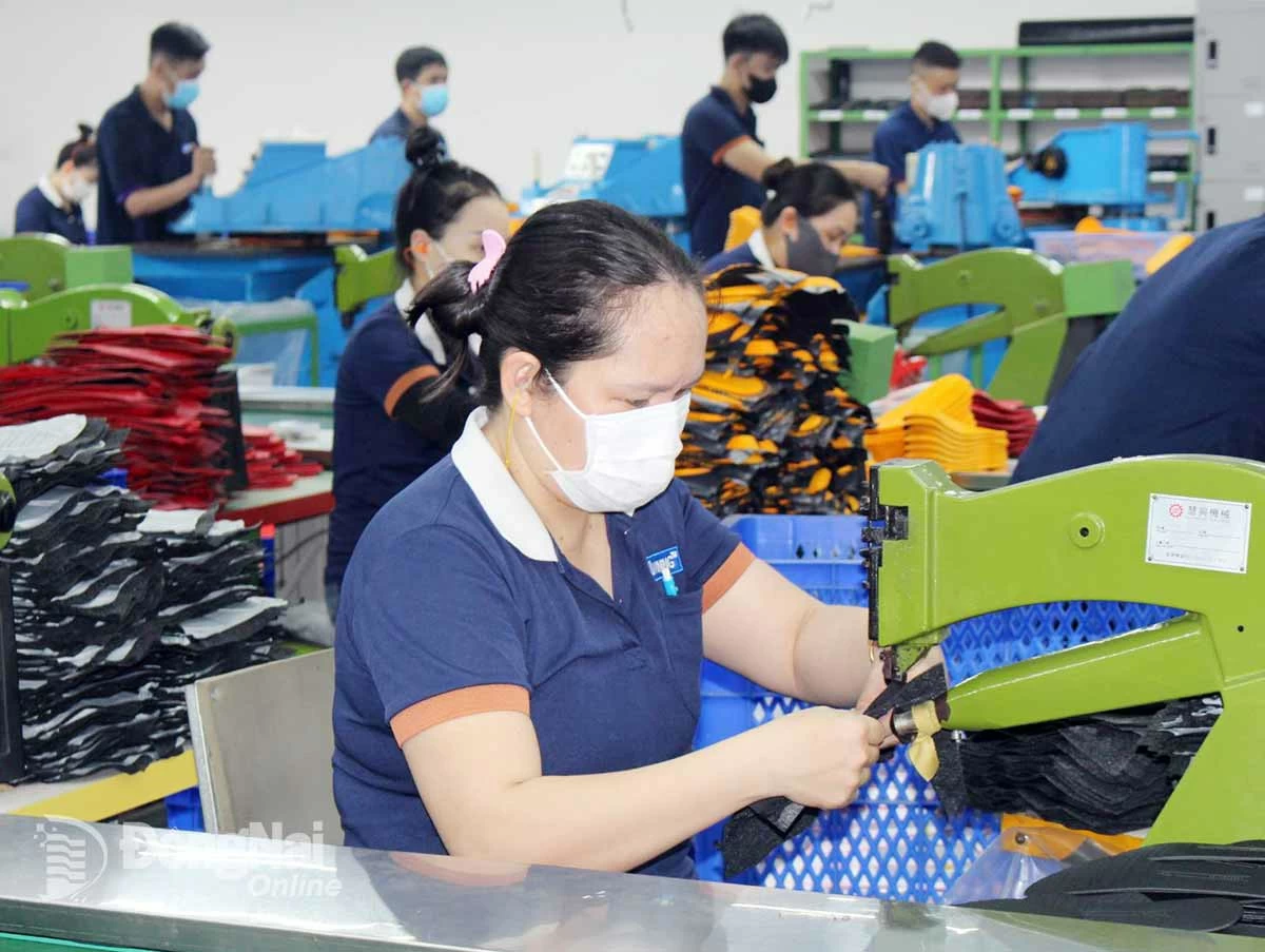 Các doanh nghiệp tăng cường tuyển lao động đáp ứng nhu cầu sản xuất. Ảnh: N. Hòa