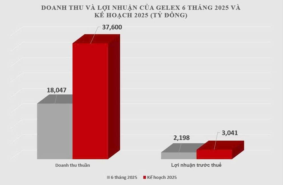 Lãi từ kinh doanh cốt lõi tăng gấp 3, GELEX đạt 72% kế hoạch năm sau 6 tháng - 2