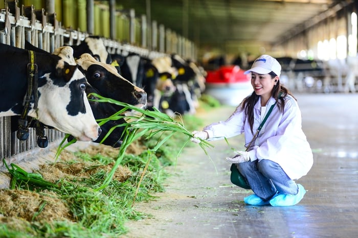 'Mở khóa tự nhiên': Vinamilk biến rào cản thành vòng tuần hoàn xanh tại trang trại sinh thái- Ảnh 9.