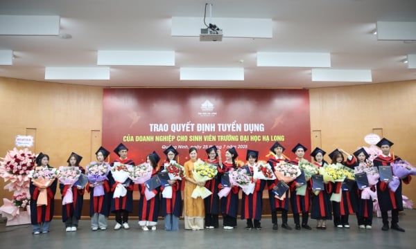 Nearly 200 students of Ha Long University were recruited before graduation