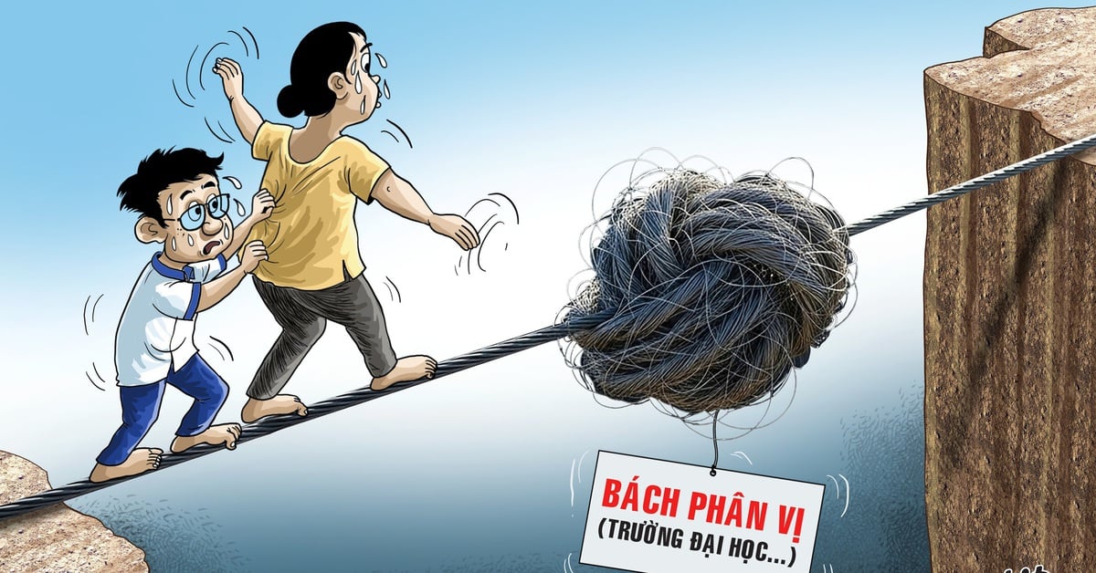 Trường đại học cũng rối với bách phân vị