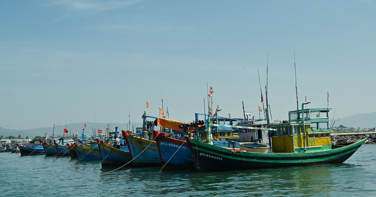 Liên Hương kỳ vọng phát triển kinh tế biển, dịch vụ, du lịch
