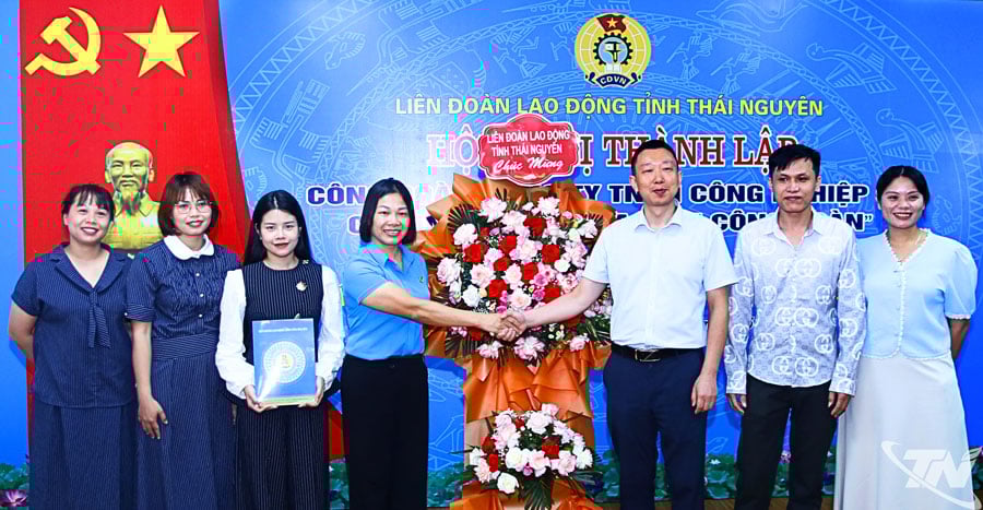 ការបង្កើតសហជីពសហគ្រាស FDI មូលដ្ឋាន