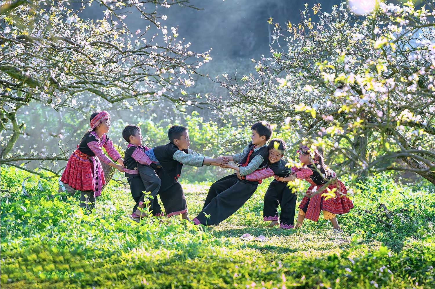 ដំណើរកំសាន្តម៉ុកចូវ 2ថ្ងៃ 1យប់៖ រីករាយនឹងការរើសផ្លែព្រូននៅក្នុងសួនច្បារ