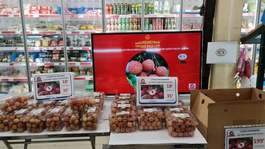 កសិផលវៀតណាមនៅលើធ្នើអន្តរជាតិ